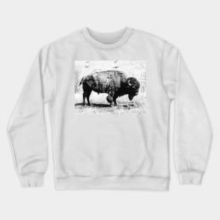Bison Bison Bison Crewneck Sweatshirt